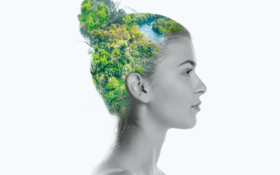 Las mesas temáticas del 9º Congreso Forestal Español abordan las soluciones a los retos del siglo XXI