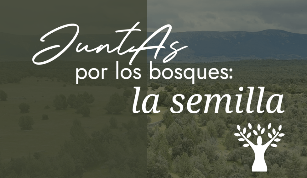 El Ateno de Madrid acogerá la jornada “JuntAs por los bosques: la semilla”