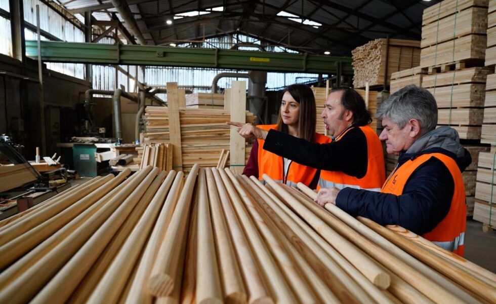 Mangos de pino y eucalipto de Galicia para limpiar la zona cero de la DANA