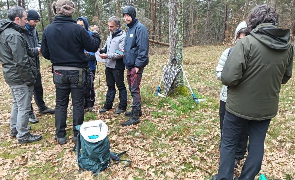 Formación en selvicultura y señalamientos forestales