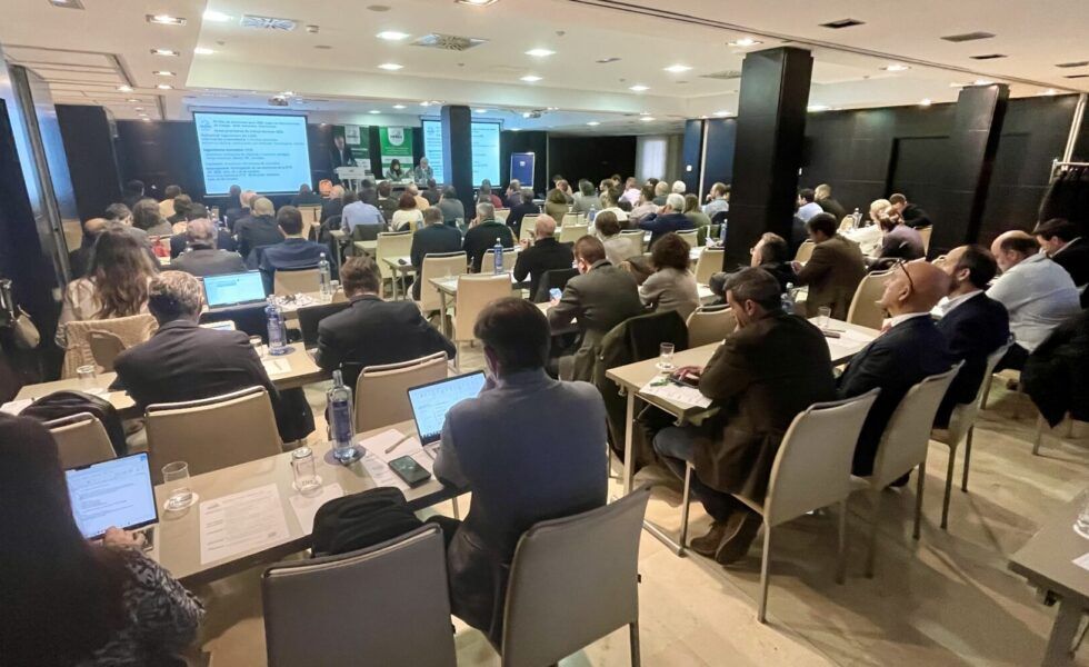 Las empresas del sector de la madera anticipan buenas perspectivas para 2025