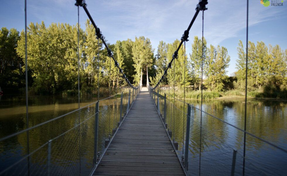 PEFC España lanza el Concurso de Buenas Prácticas en Bioeconomía Forestal