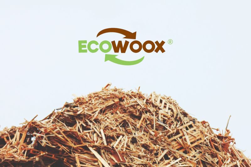 LOSAN se suma a ECOWOOX