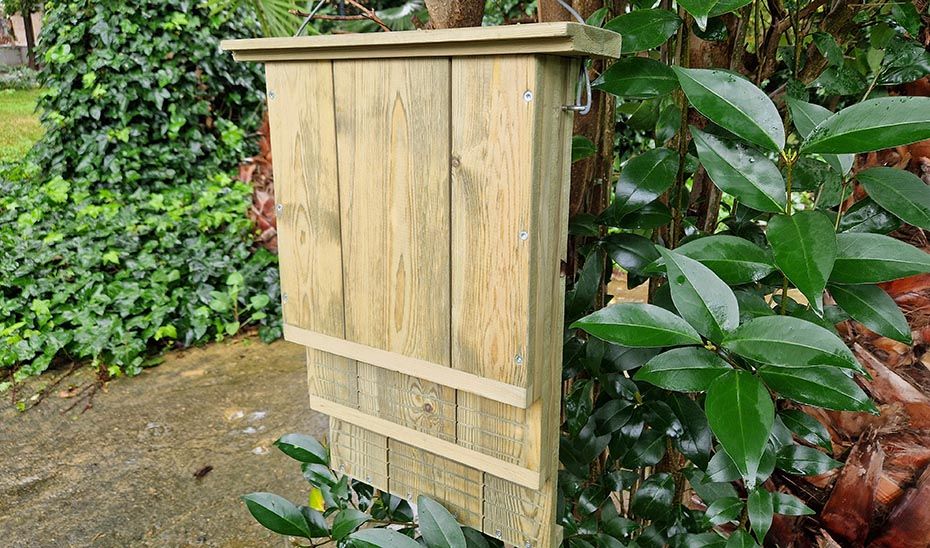 Instalarán 340 cajas-refugio de madera para murciélagos
