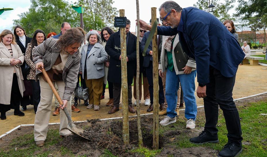 Andalucía ha plantado en los últimos seis años más de tres millones de árboles