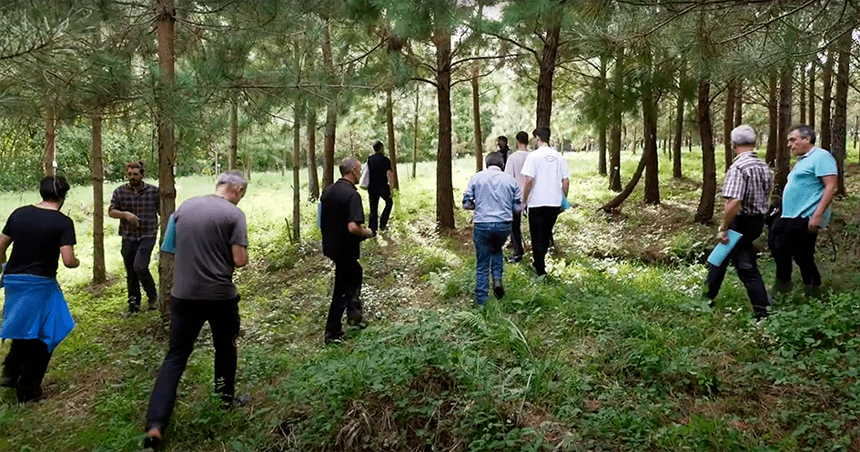 GO CONÍFERAS+, un proyecto para transformar el futuro de la cornisa Cantábrica