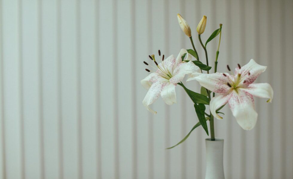 Un mes de novedades en DUEHOME