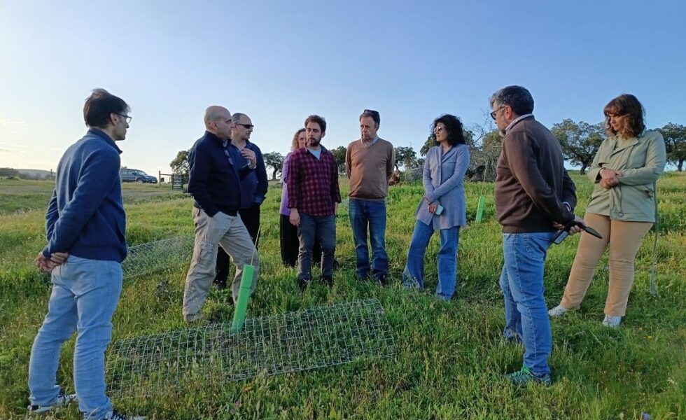 ASFOSO busca soluciones para luchar contra el cambio climático en áreas forestales del sur de Europa
