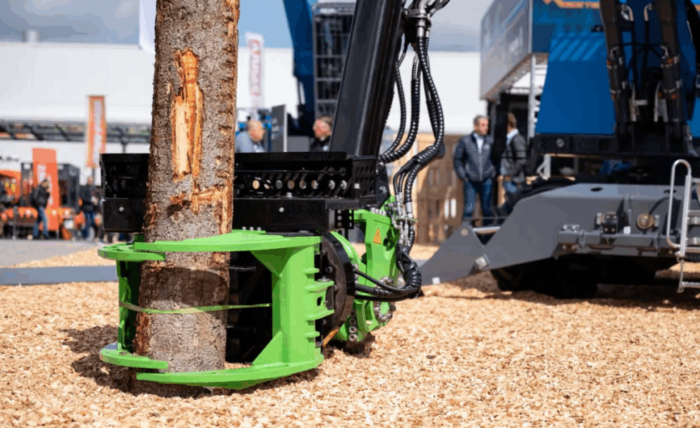 Bosques vitales como garantía de una madera respetuosa con el clima