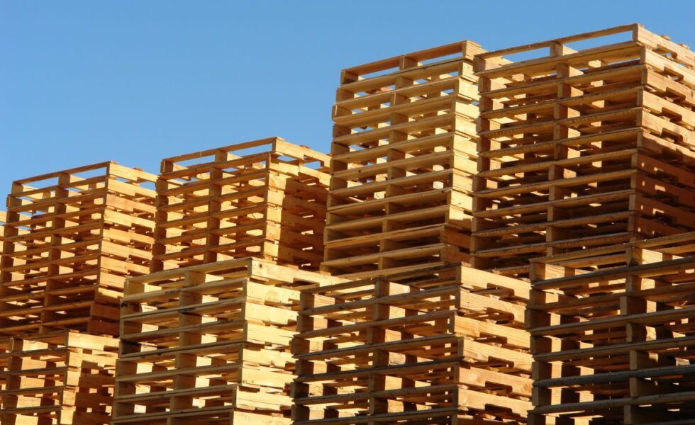 Capacidad de palets europeos en un contenedor de 40 pies