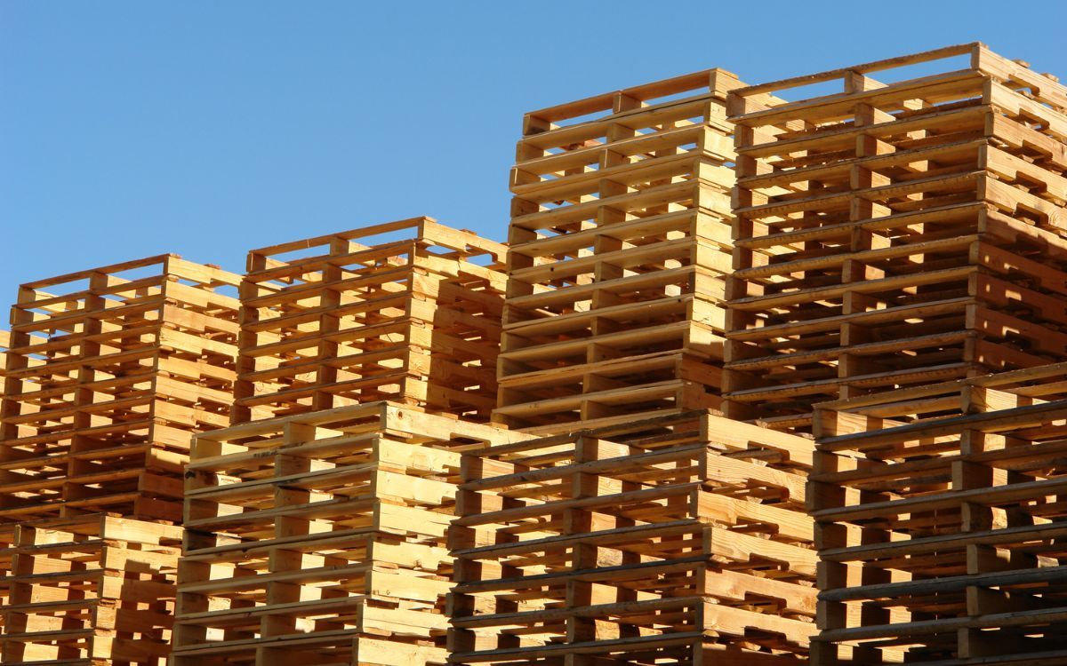 Capacidad de palets europeos en un contenedor de 40 pies