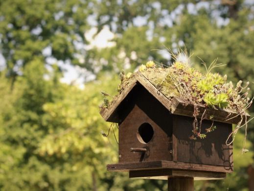 COSE lanza actividades para empresas comprometidas con el medioambiente