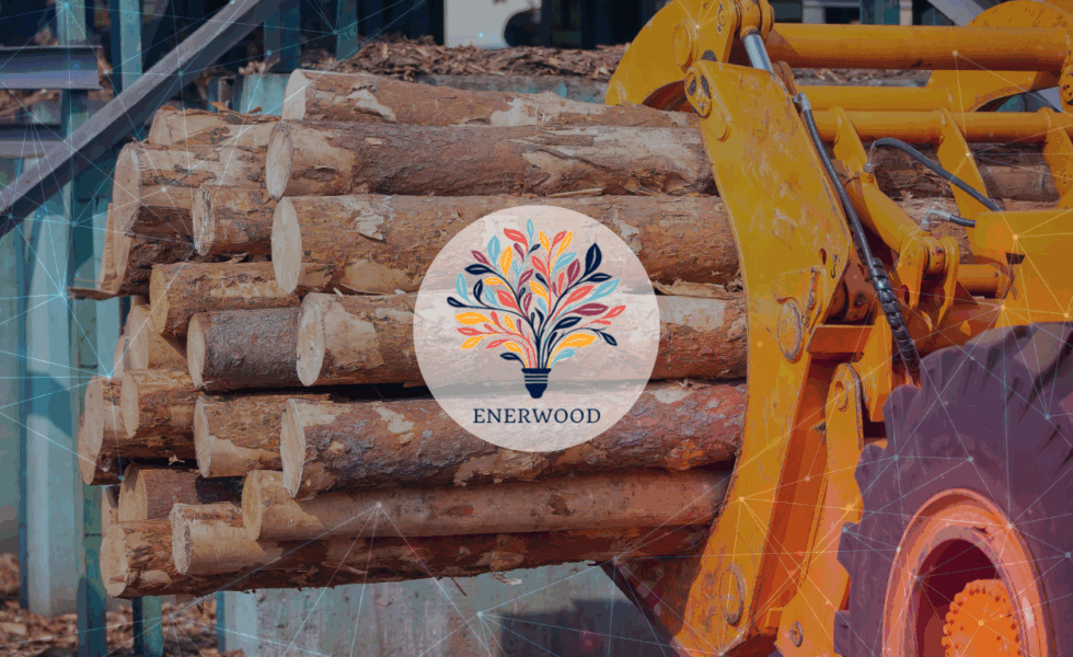 Webinar: Innovación digital para la eficiencia energética en la industria de la madera