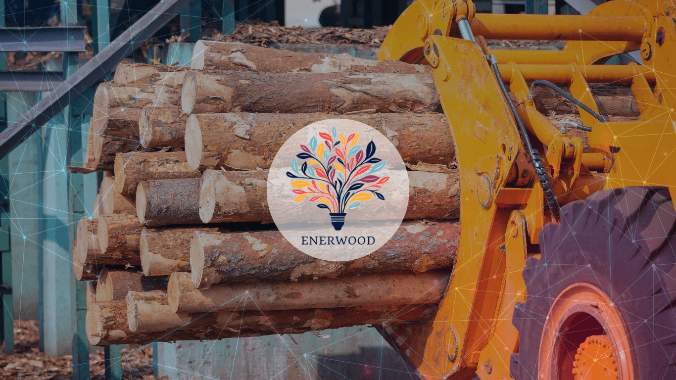 Webinar: Innovación digital para la eficiencia energética en la industria de la madera