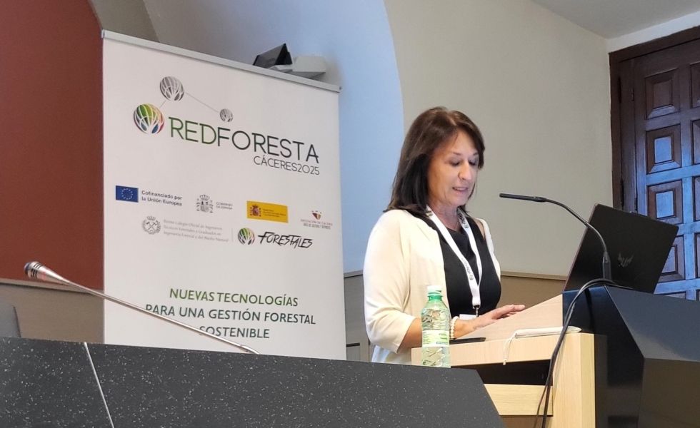 Huelva acogerá una nueva edición de los Seminarios REDFORESTA
