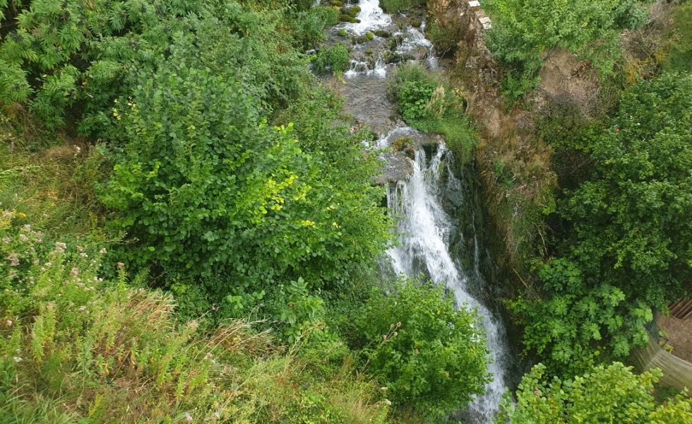 Ingeniería forestal: clave en la defensa del medio ambiente y la lucha contra el cambio climático