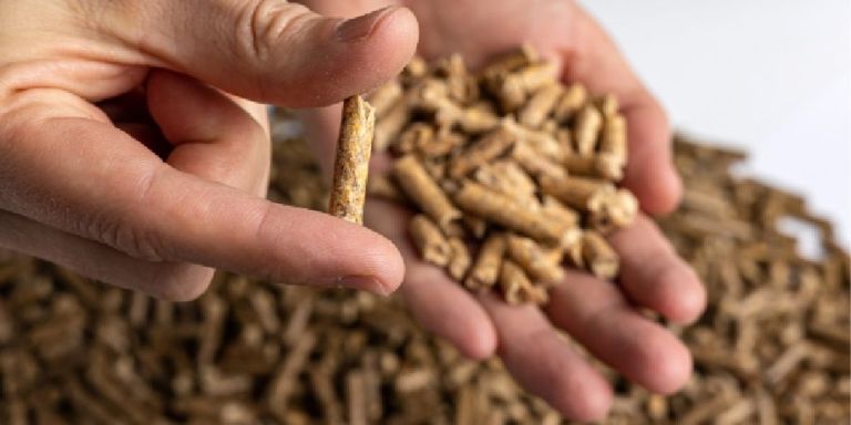 Más seguridad para el consumidor de pellet: ENplus® obtiene reconocimiento oficial europeo