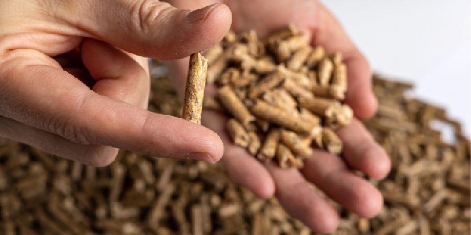 Más seguridad para el consumidor de pellet: ENplus® obtiene reconocimiento oficial europeo