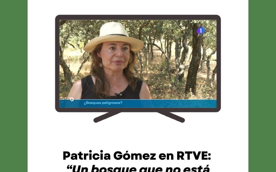 “Un bosque que no está gestionado es un peligro”