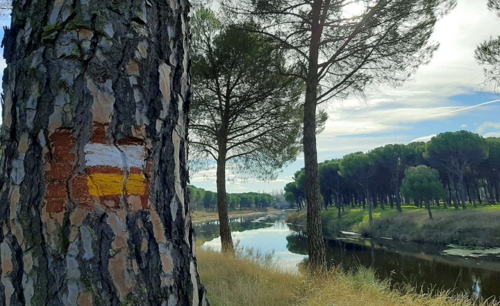 ISCAR promociona la Senda de la Resina