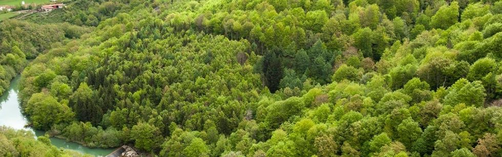 Precioso sendero temático en la SELVA DE IRATI pasando por la cascada del Cubo