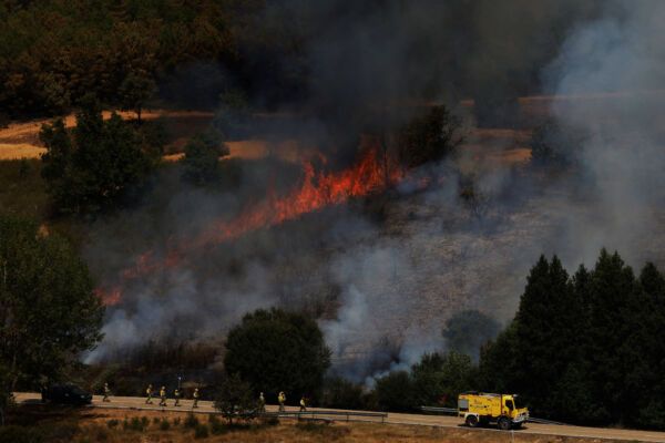 AEIM reitera que los bosques bien gestionados, con extracción de madera, son menos vulnerables a los incendios