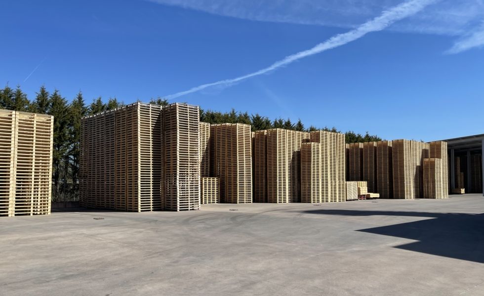 Es «poco probable» que el EUDR afecte a los usuarios de palés y embalajes de madera