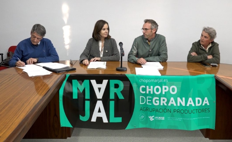 Los productores de Granada lanzan la segunda subasta de madera de chopo