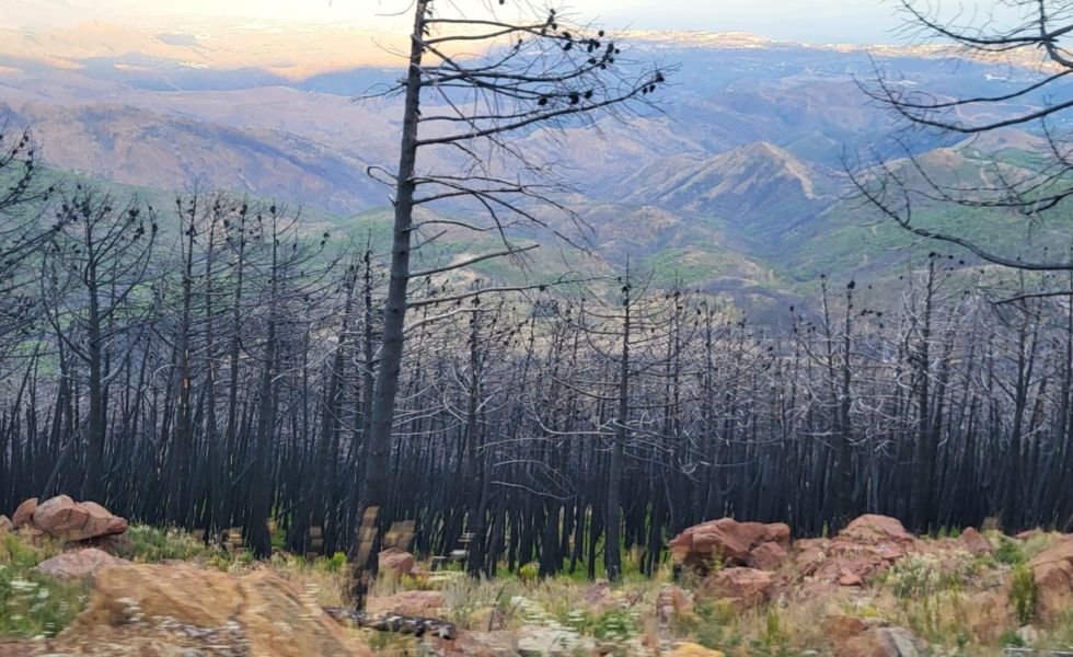 Prevenir el fuego es gestionar el territorio
