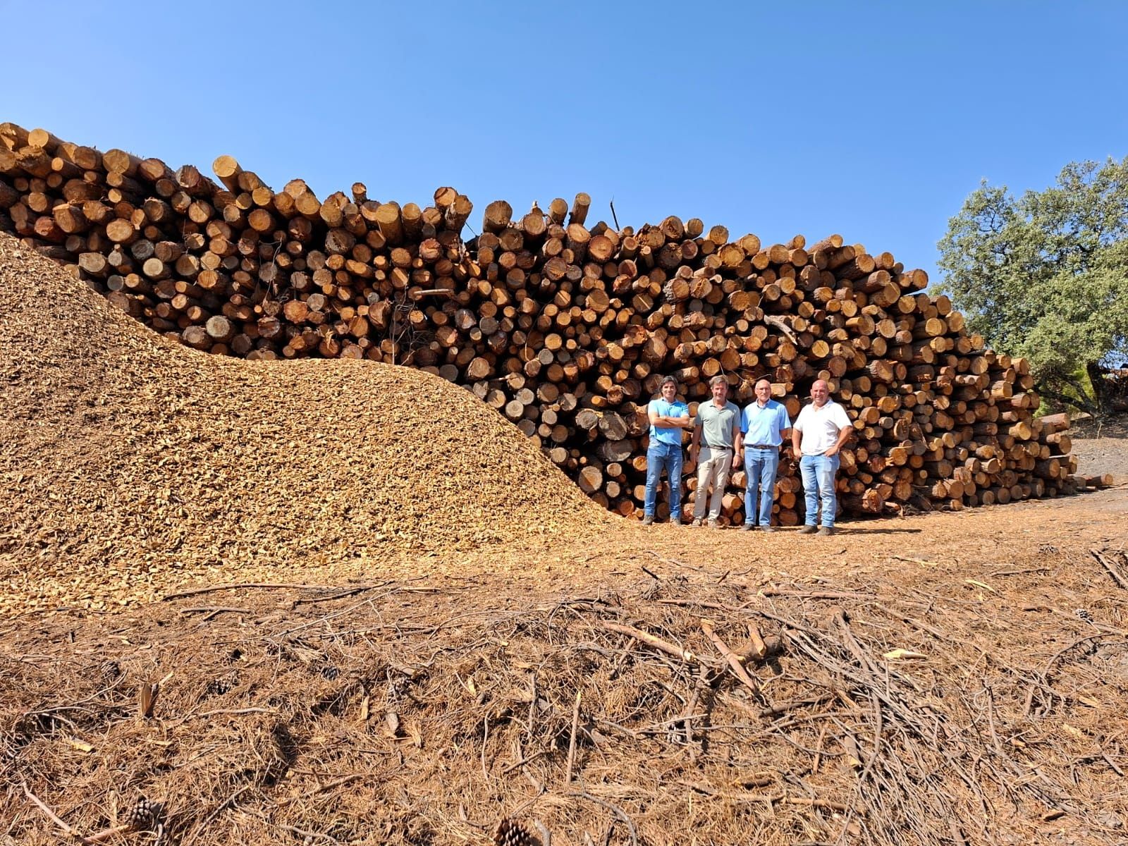 Andalucía obtiene madera y biomasa en el Parque Natural Sierra de Cardeña y Montoro