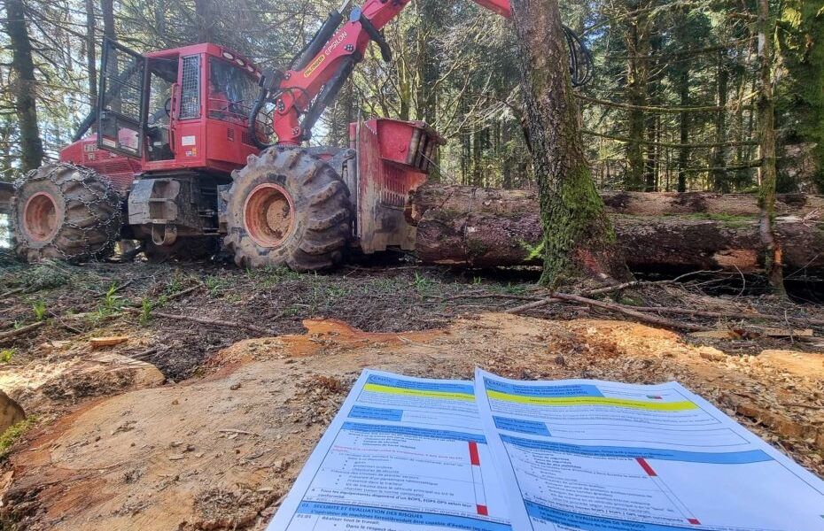 Una solución a la escasez de mano de obra cualificada en el sector forestal