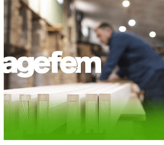Nace AGEFEM para impulsar la madera en la construcción