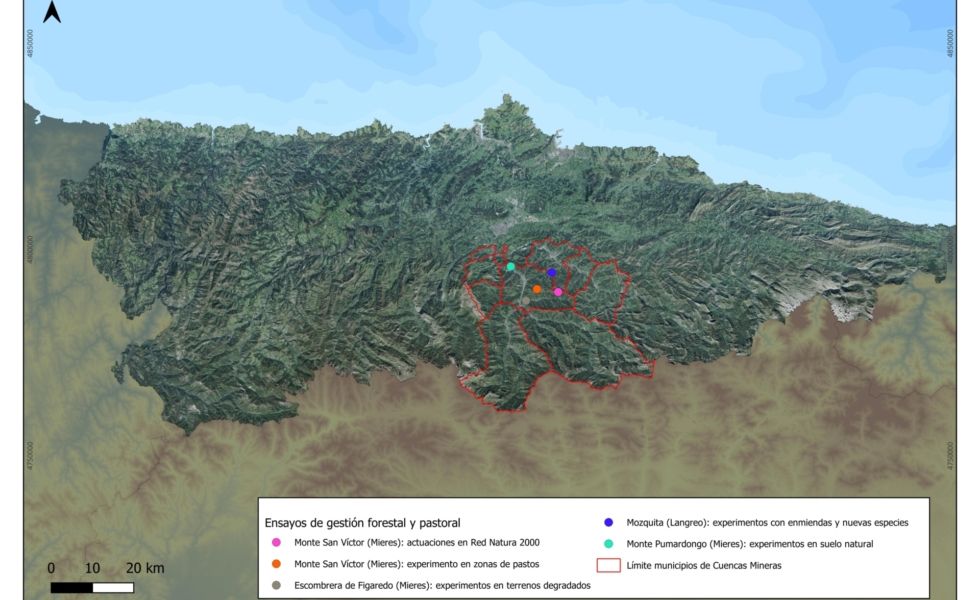 Carbon2Mine inicia los ensayos de gestión forestal y pastoral en terrenos mineros
