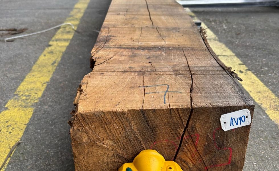 Jornada final GO GECAS, el grupo operativo para la caracterización innovadora de la madera de castaño de gran escuadría