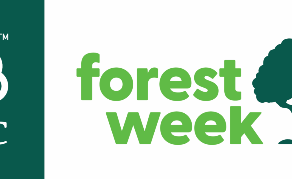 La Semana del bosque FSC ya ha comenzado