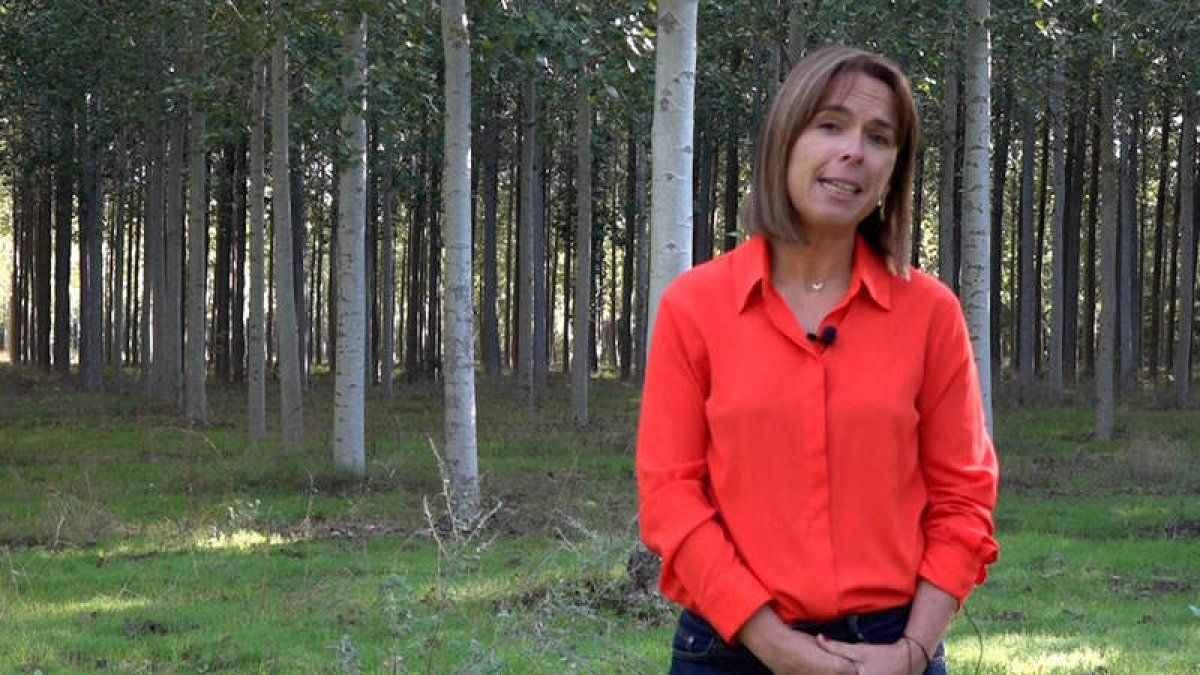 La digitalización al servicio del chopo