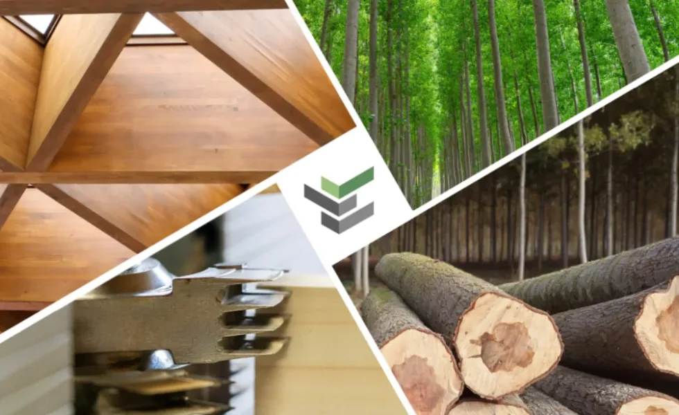 El proyecto LIFE Madera para el Futuro te invita a su sesión final de resultados