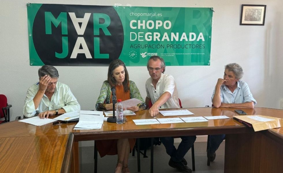 La tercera subasta de MARJAL adjudica 3.300 metros cúbicos madera certificada de chopo