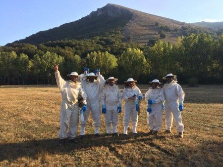 APIS IN LOVE es la iniciativa ganadora del Concurso de Buenas Prácticas en Bioeconomía Forestal