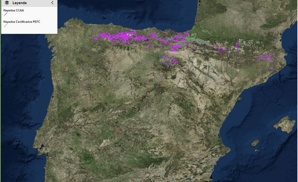 Disponible el visor geográfico del proyecto LIFE Haya – Hardwood For The Home