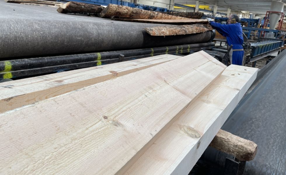 Cuenca acoge las jornadas Pinus LABs Construyendo Maderaula