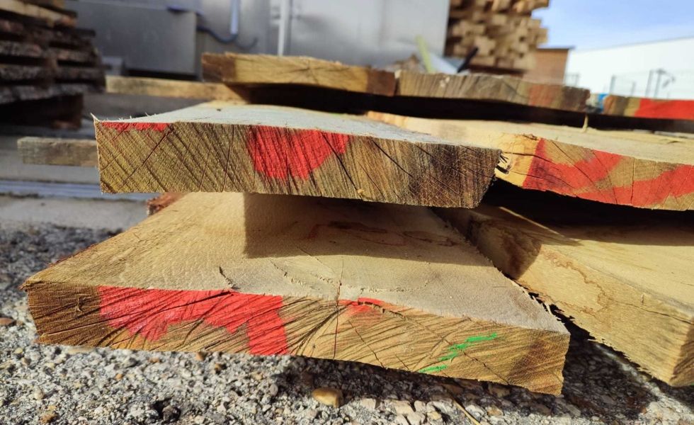 CESEFOR publica un estudio pionero sobre la durabilidad de la madera de rebollo