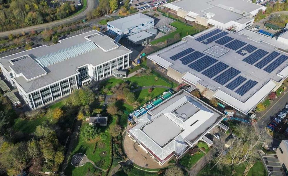 ¿Vale la pena invertir en paneles solares para empresas?