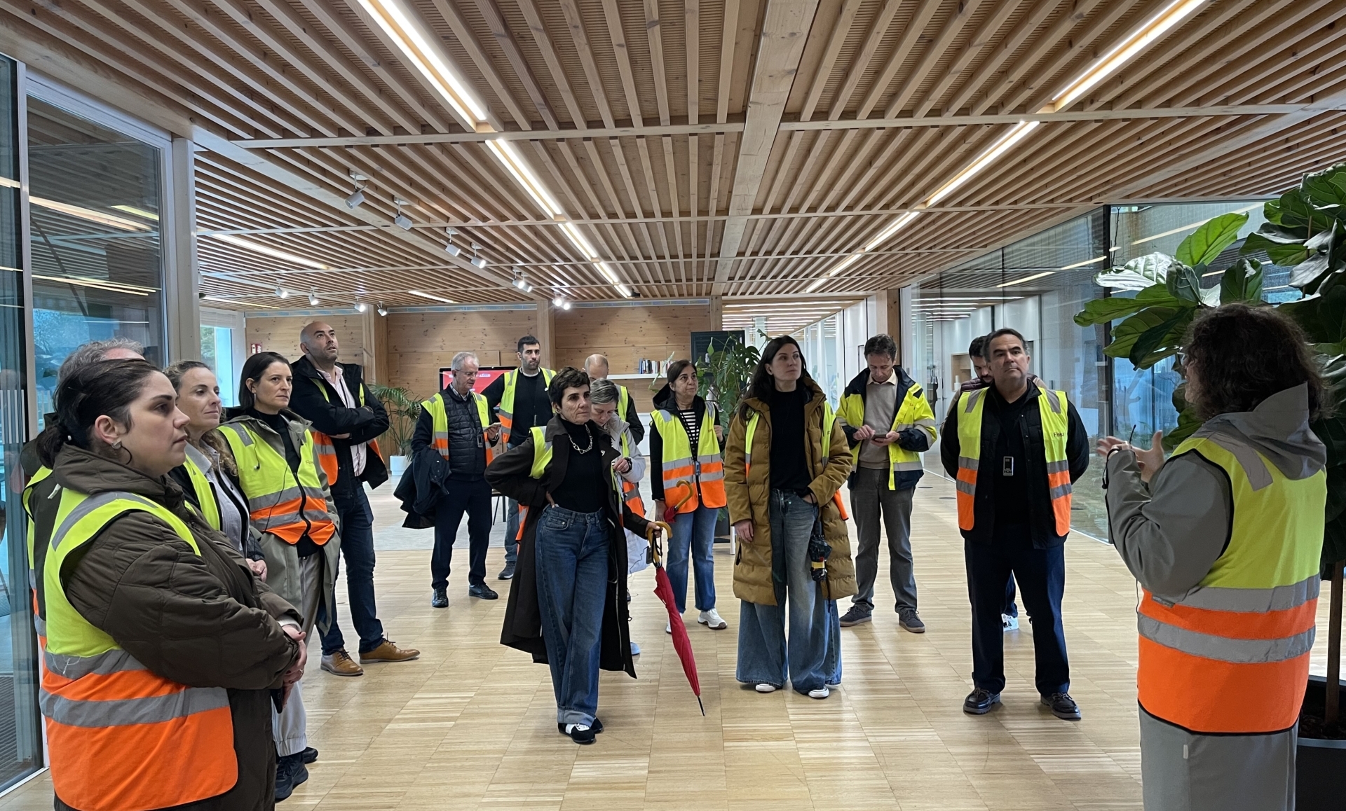 FINSA nos hace ver la industria maderera de otra forma