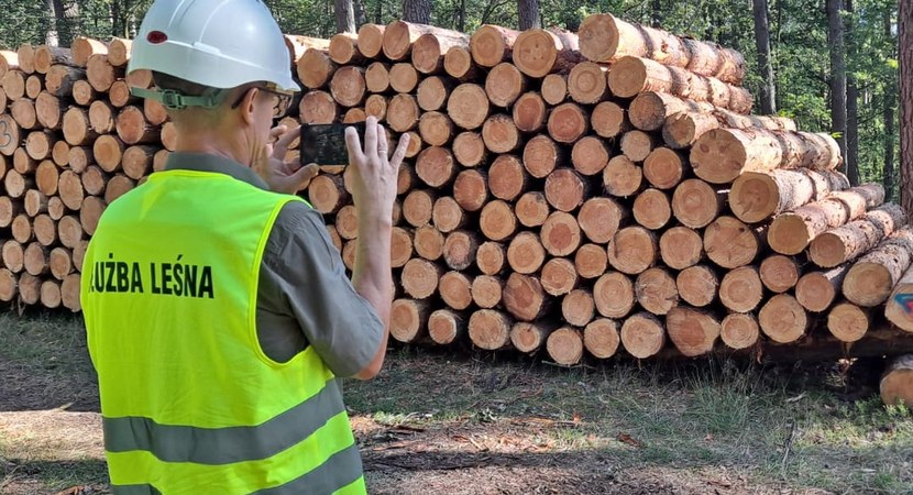 TIMBETER y los Bosques Estatales de Polonia inician la segunda etapa del despliegue nacional de medición digital de madera