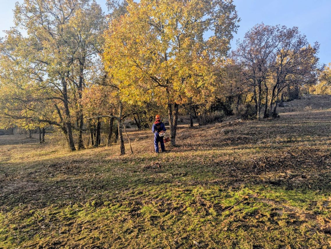 EXPO AIRE reconoce a ASFOSO con el Premio Territorio Sostenible