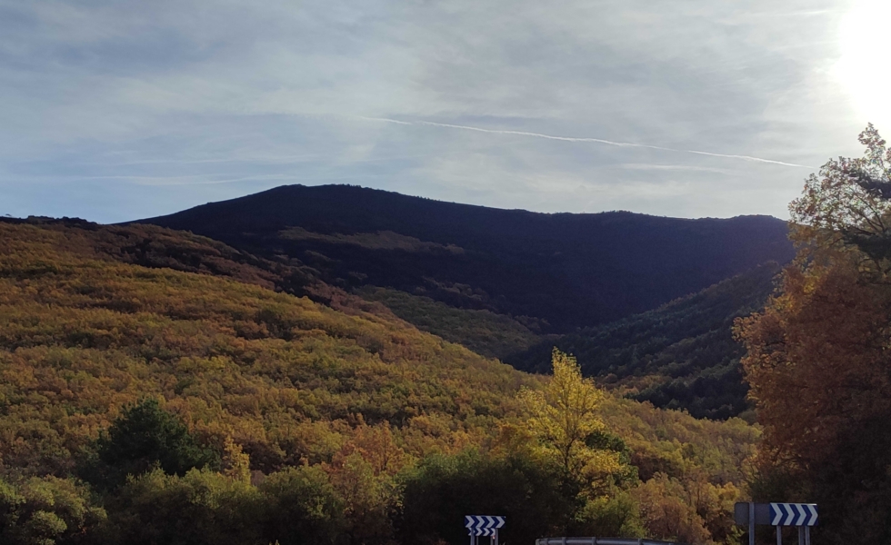 Este verano se quemó en España una superficie de 350.000 hectáreas, similar a toda la provincia de Alava