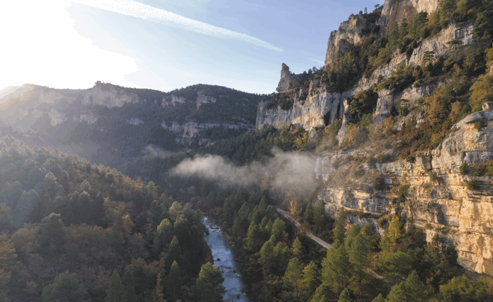 COPADE cierra con éxito “Bosque Innova” en el Alto Tajo, impulsando la economía local y la conservación forestal