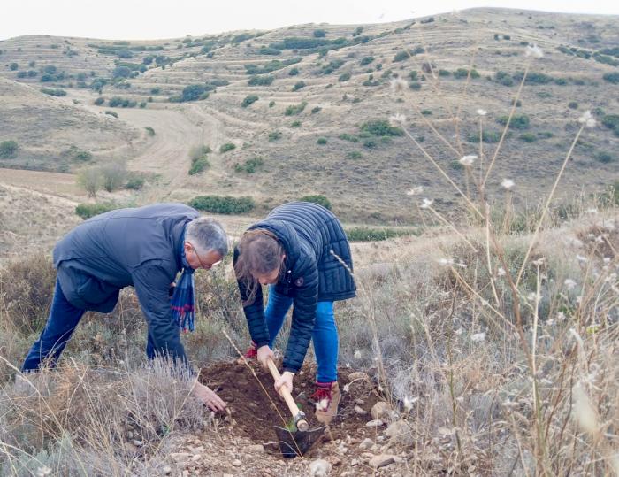 Aragón plantará 800.000 árboles a lo largo de este otoño e invierno