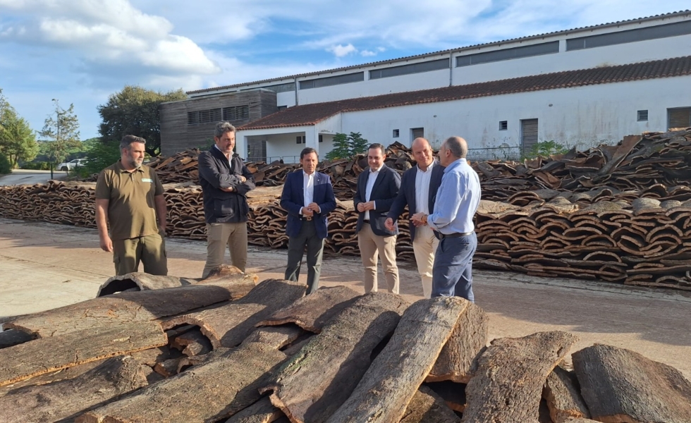 El Parque Natural de Los Alcornocales se convierte en un ejemplo gestión innovadora en el clasificado del corcho